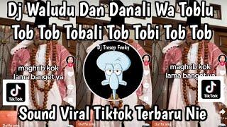 WALUDU DAN DANALI WA TOBLU TOB TOB TOBALI TOB TOBI TOB TOB TOBI TOB TOB TOBALI VIRAL TIKTOK TERBARU