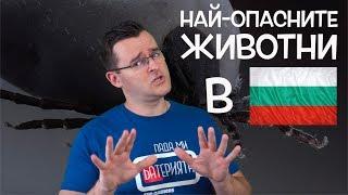 10 от Най-опасните животни, които се срещат в България