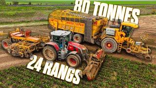 80 TONNES - 24 RANGS ARRACHAGE de BETTERAVES XXL en  JP SOYEZ - POURQUOI un chantier DÉCOMPOSÉ ?