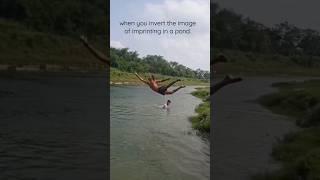 when you invert the image of imprinting in a pond. #video