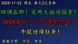 美股 回调在即！有两大驱动因素！NVDA暴跌！如何调整思路？TSLA还能继续涨吗？牛股继续狂奔！AMZN又往AI领域投钱了！美元、黄金如何预期？PLTR、ARM怎么看？