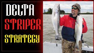 How To Catch Stripers In The California Delta