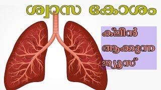 ശ്വാസ കോശം ക്ലീന്‍ ആക്കുന്ന ഉത്തമ ജ്യൂസ്‌/Malayalam Health Tips