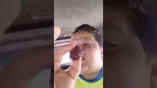 حموته يغني طقي يا حبات  التوت