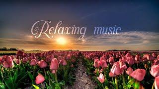 relaxing music Music  Use headphones   ft Kailash Kavhale