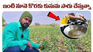 Kusuma Sagu In Telugu | Safflower Cultivation | Safflower Farming | కుసుమ సాగు వివరాలు.