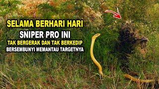 PERTARUNGAN SNIPER PRO VS SNIPER DENGAN ILMU BERKAMUFLASE TINGKAT TINGGI‼️ - Alur Cerita Film Sniper