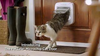 PetSafe® Microchip Cat Door