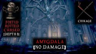 Bloodborne - Amygdala No Damage Boss Fight | Chikage | Depth 5 Chalice Dungeon Foetid Rotted Cursed