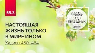 55.3 Сады праведных. НАСТОЯЩАЯ ЖИЗНЬ ТОЛЬКО В МИРЕ ИНОМ. Хадисы 460–464 #аскетизм