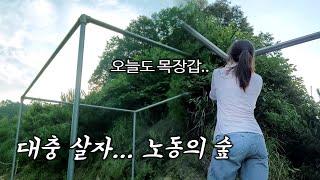 전동드릴, 용접없이 파이프 연결하는 법! 초간단 턱걸이 기구가 아닌.. 처마 만들기 :: Pergola DIY