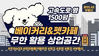 베이커리카페+펫카페 추천! 1,500평 무한 활용 상업공간 | 경기도 광주시 | 현대아산부동산