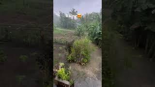 #shorts #update #boholana #philippines #ofw #virtudazo #highlights #fypシ゚viral #fyp #ads #rain