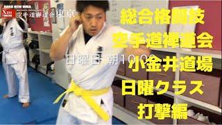 【 総合格闘技 空手道禅道会小金井道場 日曜日クラス打撃編】MMA Karate Zendokai Striking Class/大人の習い事/小金井市/小平市/西東京市/府中市/武蔵野市