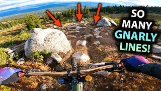 This DH Trail Almost DESTROYED ME!!... But I love it!