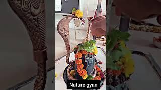 nature #gyan #mahadev har mahadev  
