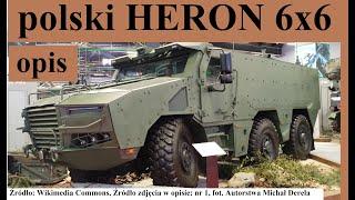 polski transporter opancerzony Heron - opis