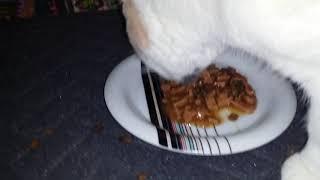 Mia eats