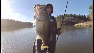 TOP 3 GIANT ALABAMA BASS CAUGHT ON CAMERA! (compilation)