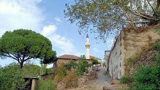 Gezginin Gözünden canlı yayında