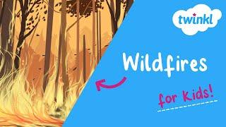 Wildfires for Kids | What Causes a Wildfire? | Wildfire Safety Rules | Twinkl USA