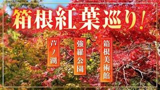 【日帰り】箱根紅葉巡りの旅！箱根美術館・強羅公園・芦ノ湖を堪能