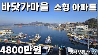 4800만원 소형  아파트 완전 바다 영구 조망권 ...세컨드하우스  추천 !!!