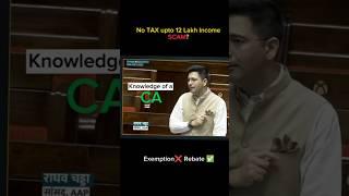 Don't Mess with CA| Ft. CA RAGHAV CHADHA | Knowledge of a CA | #incometax #shorts