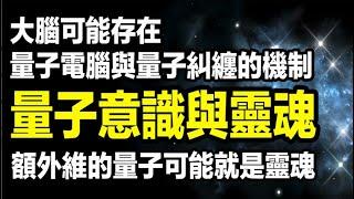 量子意識與靈魂，揭開科學與靈性的神奇奧秘：探索量子力學、意識科學和靈魂存在的科學證據。越來越多的理論顯示，額外維的量子可能就是靈魂，而且大腦可能存在量子電腦與量子糾纏的機制。