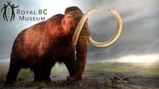 Royal BC Museum Tour & Review with The Legend