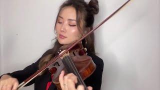 Akon ft. Snoop Dogg - I Wanna Love You (Mind Violin Violin Cover)