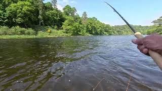 Salmon fishing on the River Tweed at Upper Floors    16th May 2024