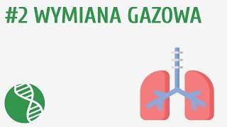 Wymiana gazowa #2 [ Oddychanie i wydalanie ]