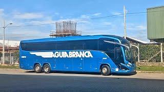 MOVIMENTAÇÃO DE ÔNIBUS NA RODOVIÁRIA DE VILA VELHA | GONTIJO, NOVA ITAPEMIRIM, RIODOCE, ÁGUIA BRANCA