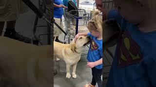 CUTE PUPPIES VISIT LOWE'S! (Future Service Dog Training!)