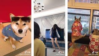 【抖音最强合集】武汉肺炎，春节不能出门，都在家做什么？Tik Tok: everybody stayed home during Wuhan virus