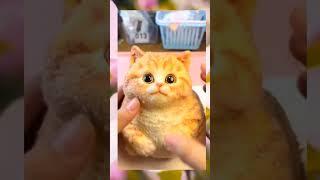 #squishy #cat #asmr #asmrsounds #diy #diycarft #stressfree #stressrelief #stysfyvideo #ytshorts