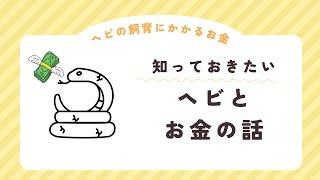 【ヘビ飼育とお金のお話】ヘビ飼育はお金がかからない方だと思います多分