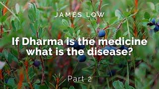 2/2 If Dharma is the medicine, what is the disease? Zoom 12.2024