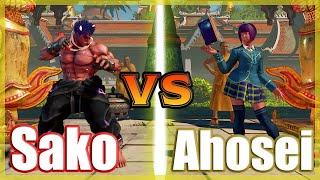 SFV CE  Sako (Kage) vs Ahosei (Menat) FT3