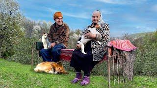 Happy old age of an elderly couple in a mountain village far from civilization