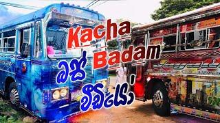 2022 සුපිරිම බස් වීඩියෝ ️ ||Kcha Badam Bus Dj ️ ||2022 කචා බදම් Song Dj ️||මිලියන 1.8+ Views ️