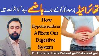 How Hypothyroidism Affects Our Digestive System || Thyroid Hormone Ki kami K Hazmay P Kia Asrat Han