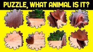 Complete all 30 animal PUZZLES. Can you get it in time? | WIKIFUN