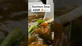 Szechuan Soup ASMR #greeneliteasmr #asmr #shorts