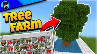 How to Make a SIMPLE TREE/WOOD FARM in Minecraft Bedrock 1.21!