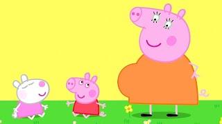 Peppa Pig en Español Episodios ️ Bebé Peppa y Bebé Suzy ️ Pepa la cerdita