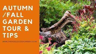 What to do in your garden in autumn...expert tips