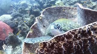 Introduction video from Fundiving Curacao Padi Dive Resort.