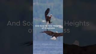 Soar above the clouds! #quotes #motivation #money #success #mindset #discipline